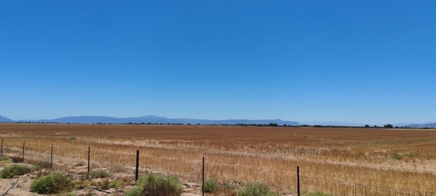 3 Bedroom Property for Sale in Hopefield Rural Western Cape